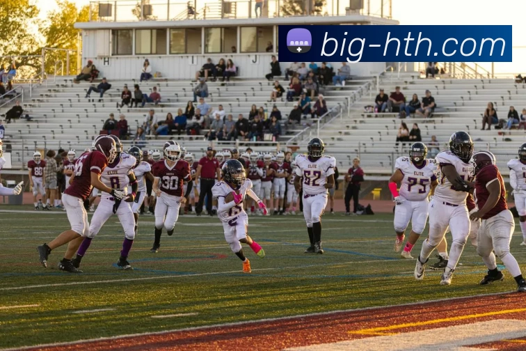 hth体育平台生态图